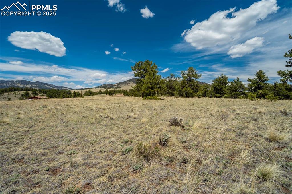 Image 29 of 42: View