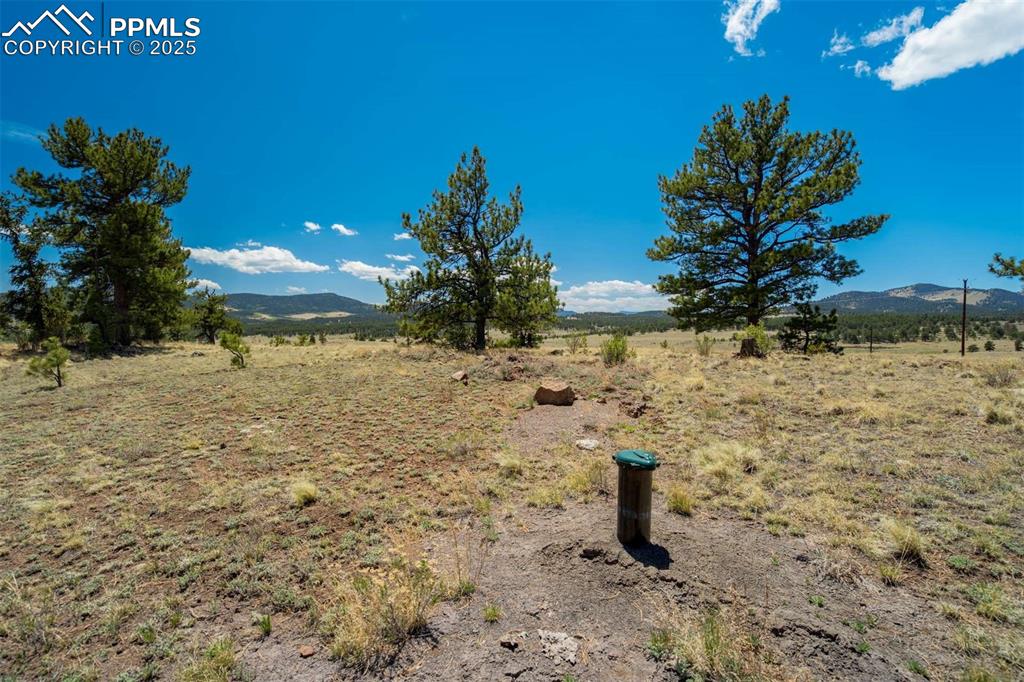 Image 30 of 42: Yard