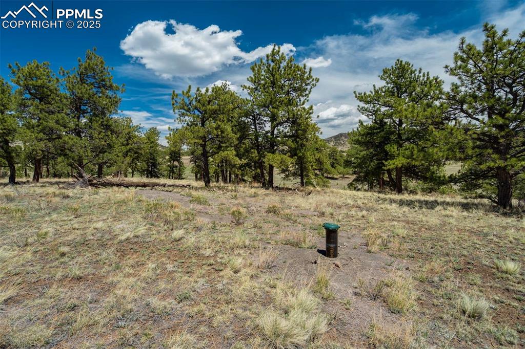 Image 31 of 42: Other