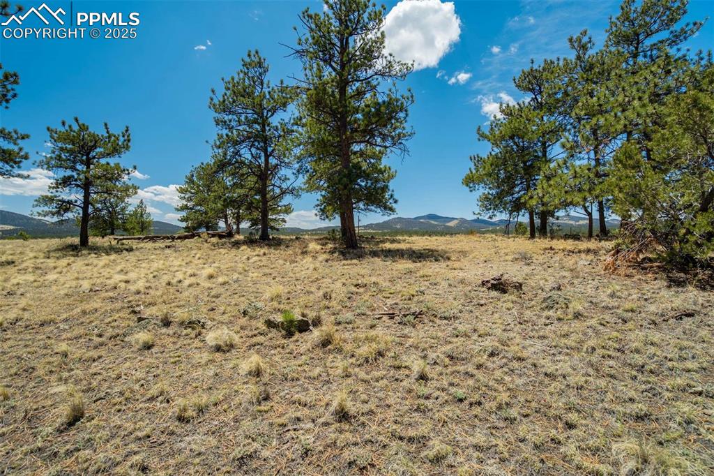 Image 32 of 42: Other