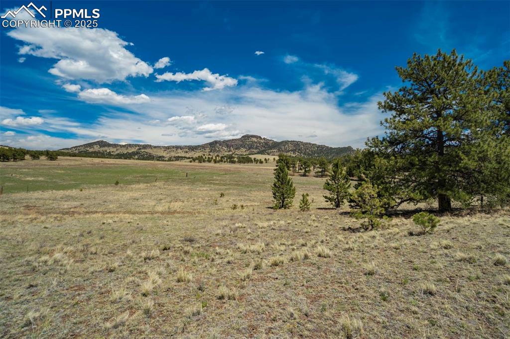 Image 34 of 42: View