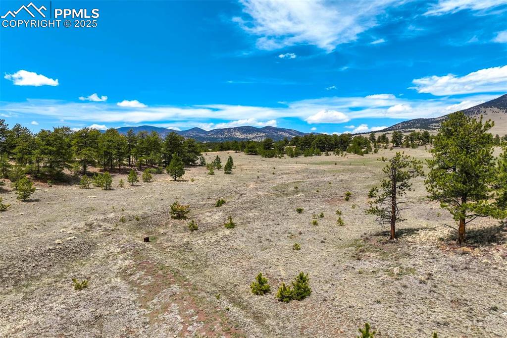 Image 35 of 42: View