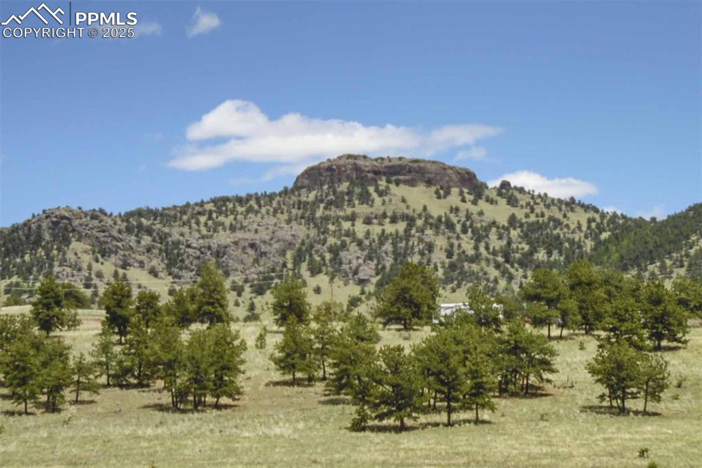 Image 36 of 42: View