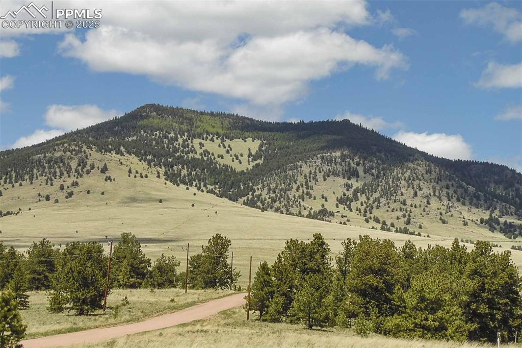 Image 37 of 42: View