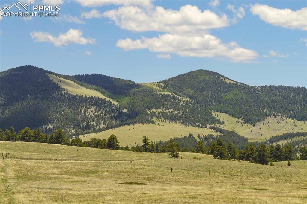 Image 38 of 42: View