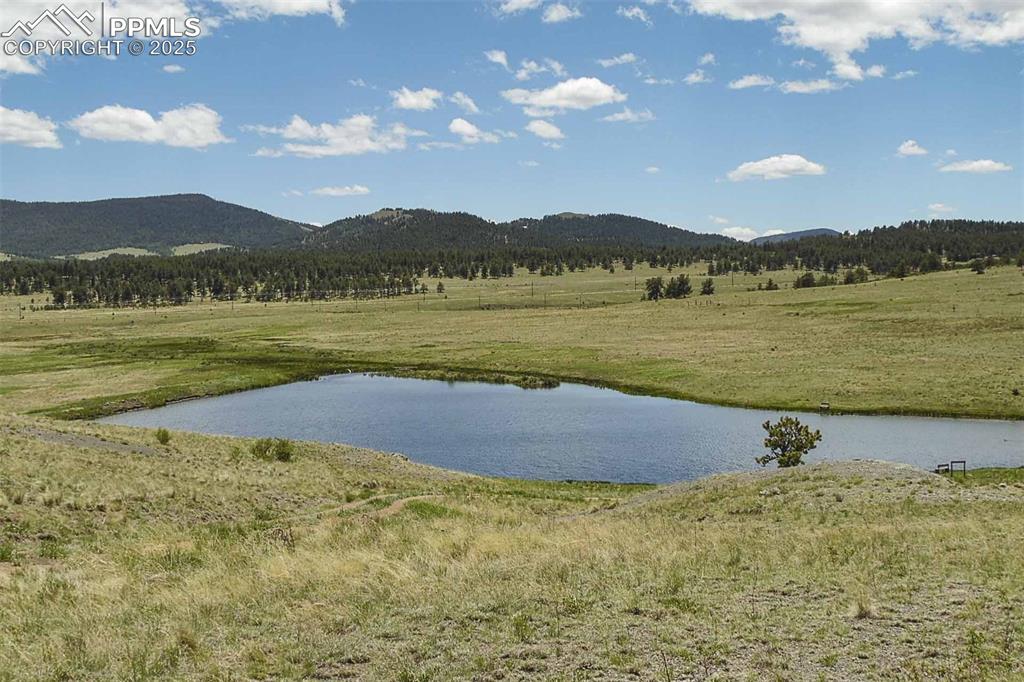 Image 42 of 42: Community Pond
