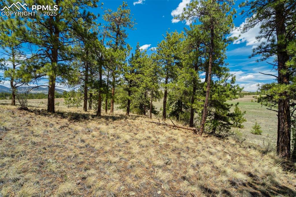 Image 5 of 42: Other