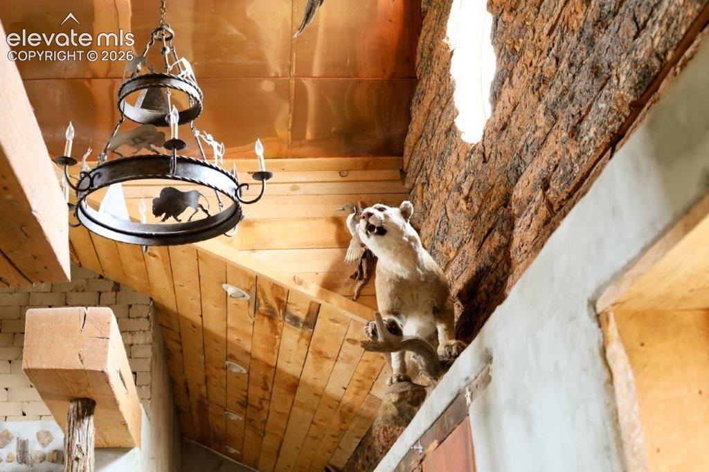 Image 24 of 50: Vaulted wood-paneled, copper plated ceiling with exposed wood beams and a d