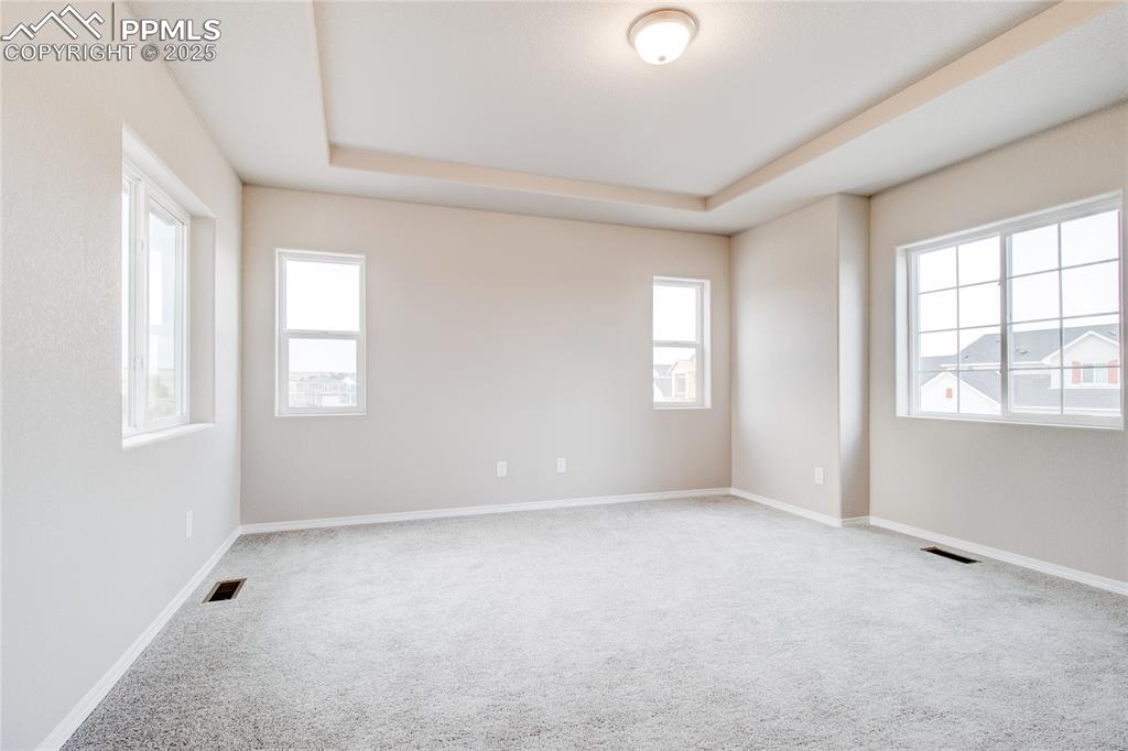 Image 15 of 24: Empty room featuring carpet floors and a raised ceiling