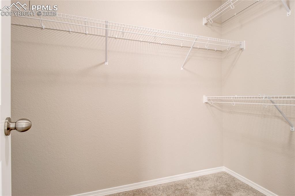 Image 20 of 24: Spacious closet with carpet