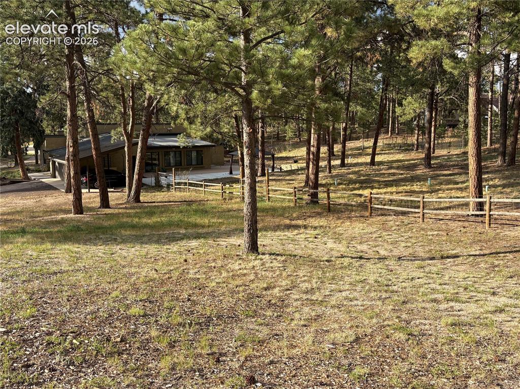 Image 5 of 25: Yard