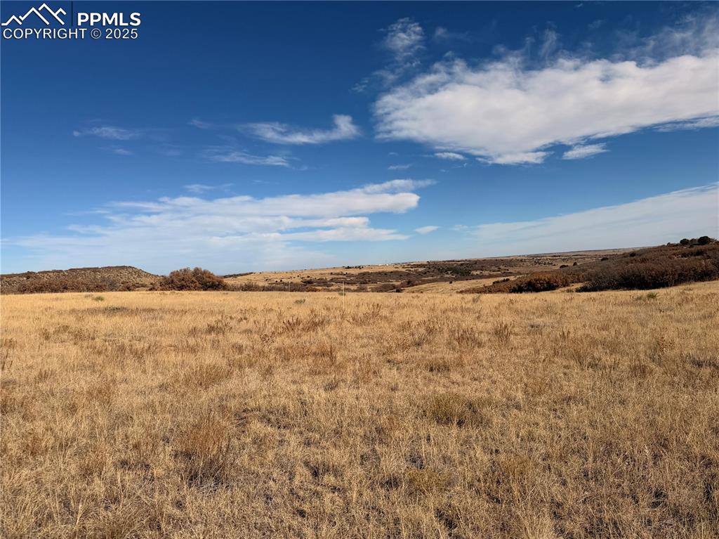 Image 9 of 10: Other