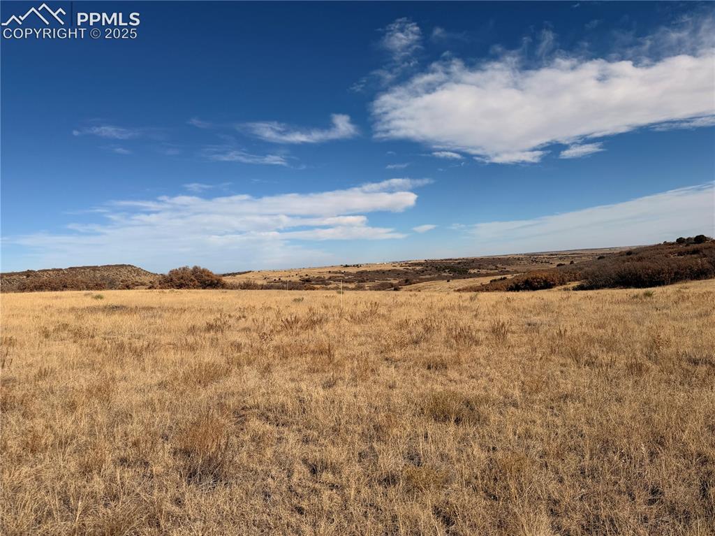 Image 9 of 10: Other