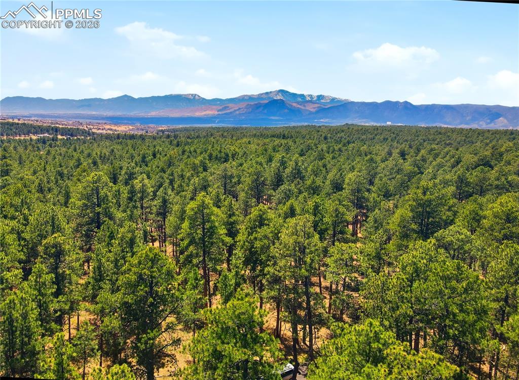 Image 6 of 10: View