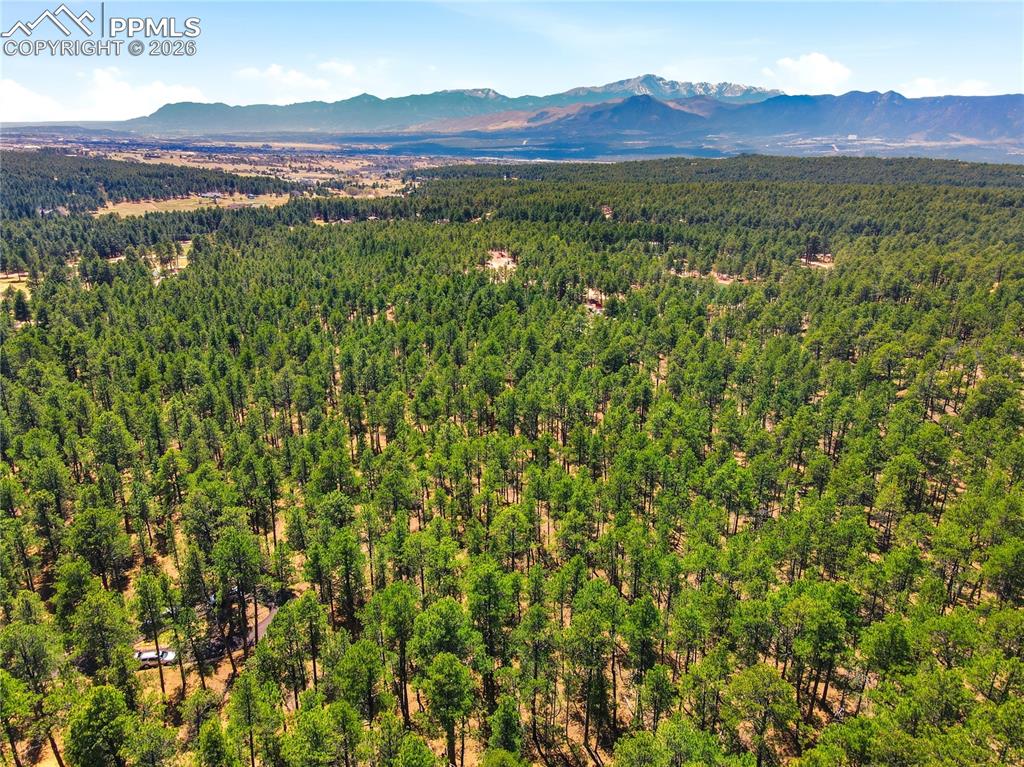 Image 7 of 10: View