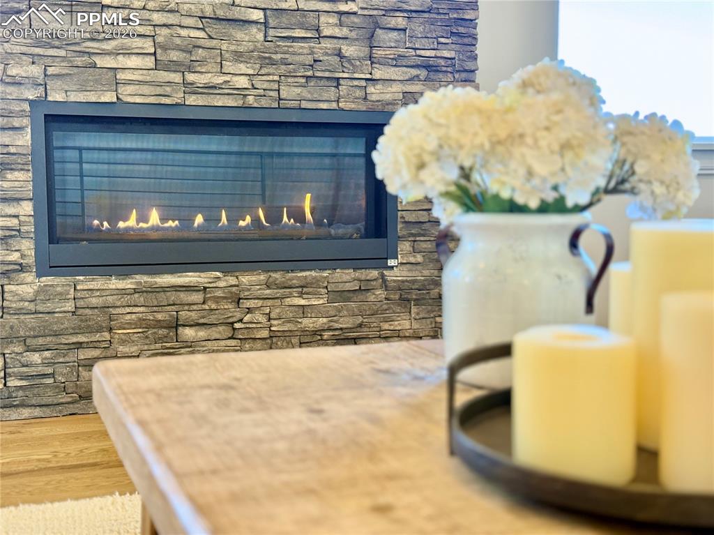 Image 14 of 36: Other