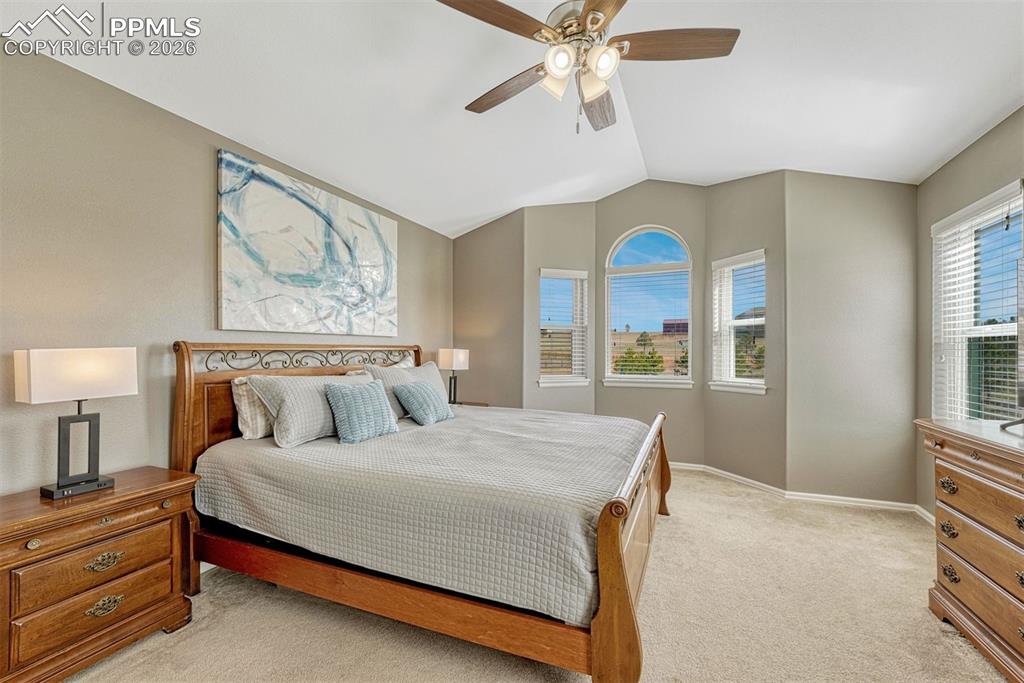 Image 21 of 50: New Supplement