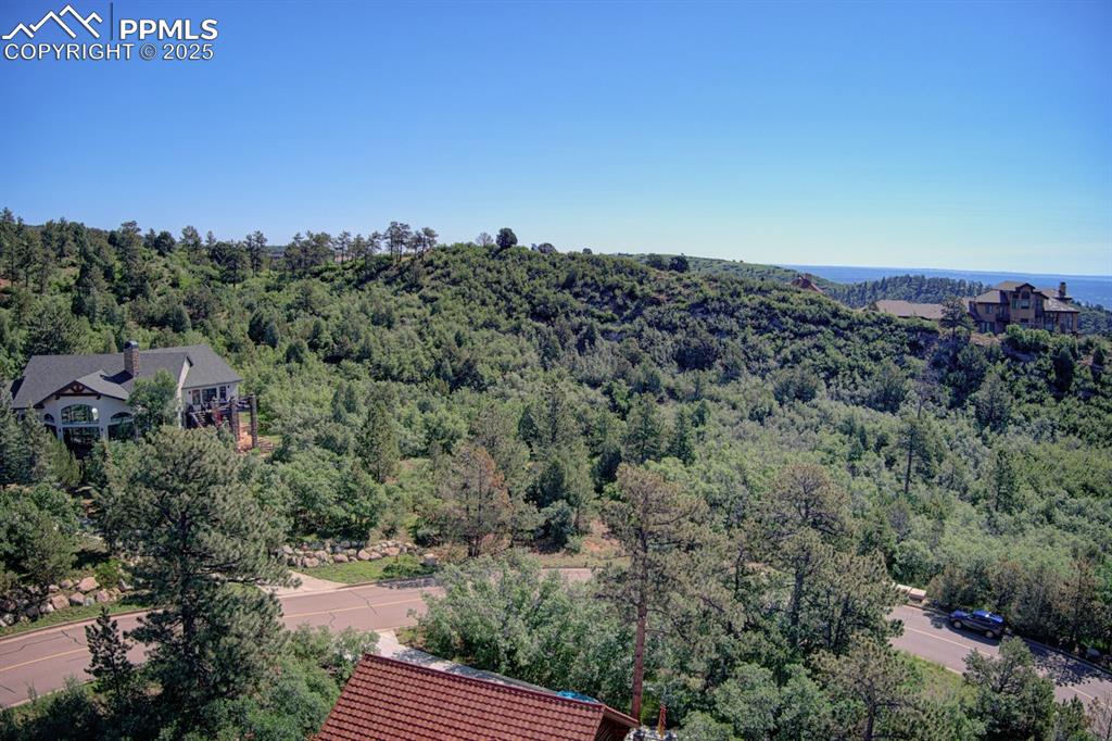 Image 5 of 9: Mature foliage