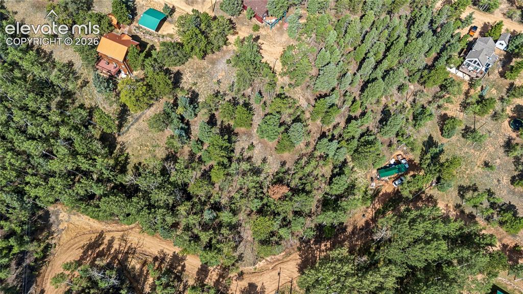 Image 1 of 11: Wooded property with mature trees and a dirt path