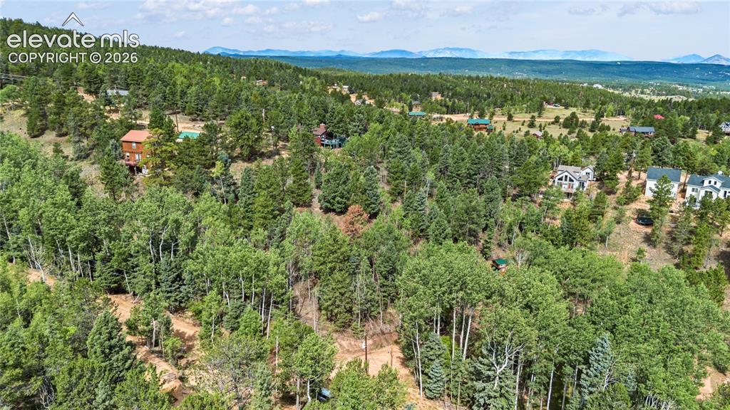 Image 4 of 11: Mountainous terrain with dense tree coverage and distant structures
