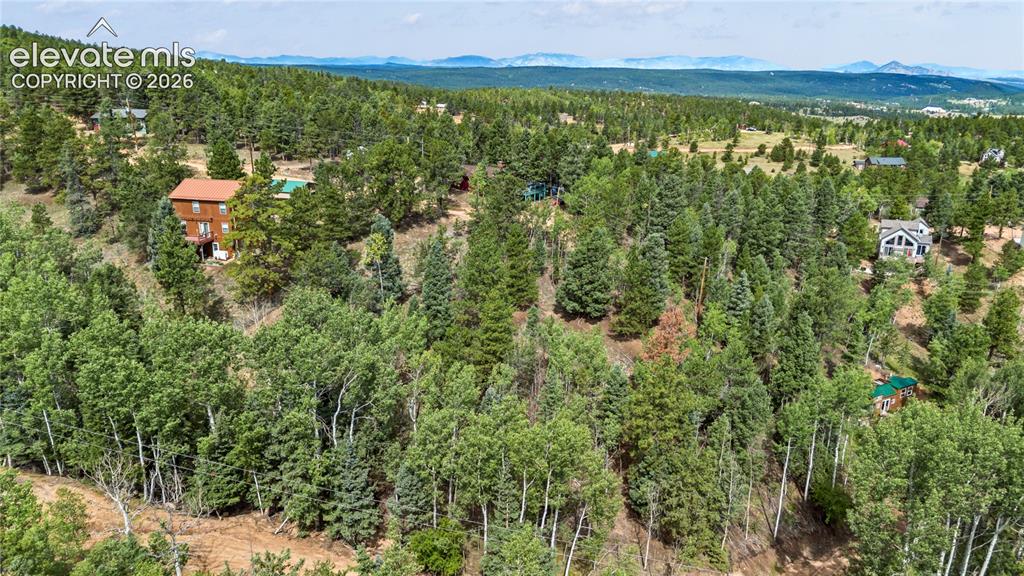 Image 5 of 11: Expansive treed landscape featuring multiple properties, abundant foliage,