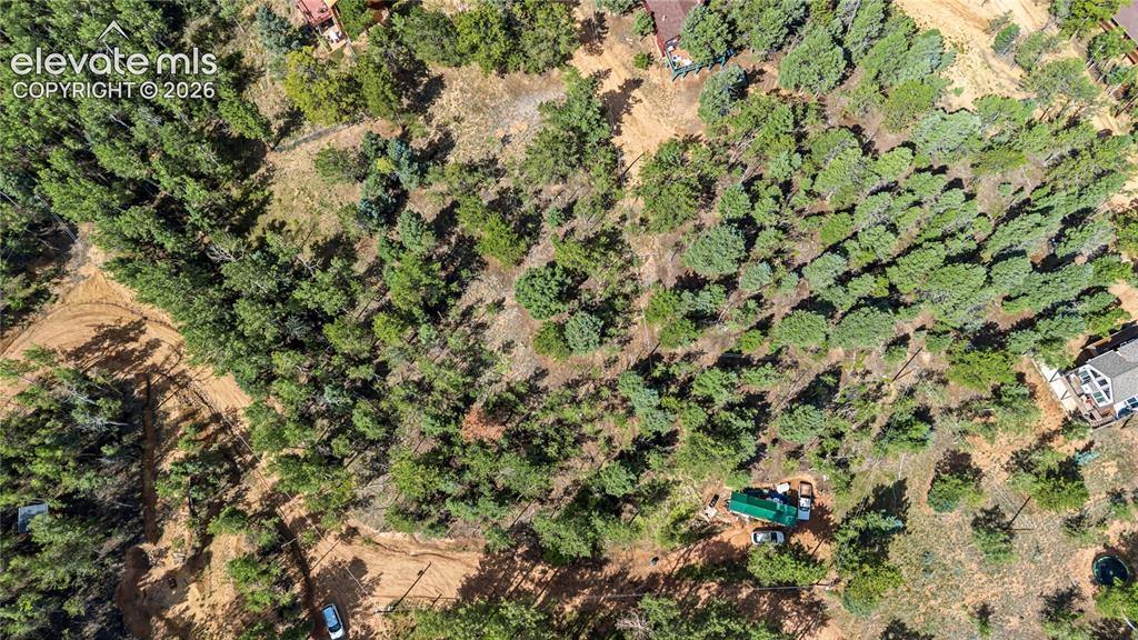 Image 7 of 11: Expansive undeveloped lot featuring dense tree coverage and varied terrain