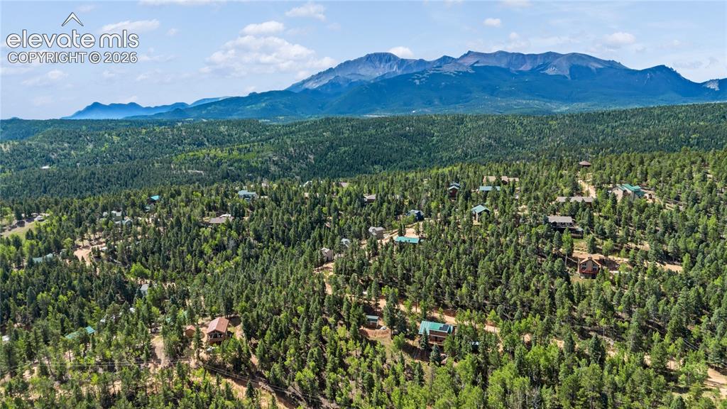 Image 8 of 11: Expansive wooded landscape featuring a mountainous backdrop