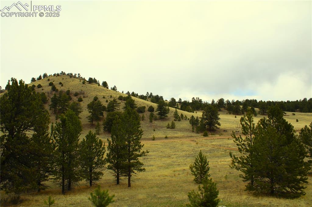 Image 11 of 15: View of undeveloped land with rural landscape