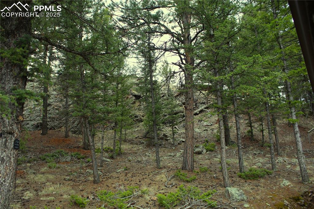 Image 14 of 15: View of tree filled area