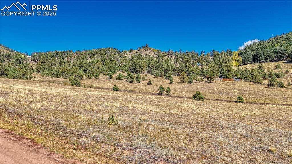 Image 12 of 20: View