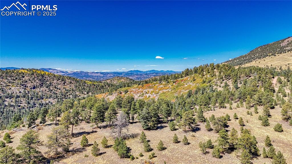 Image 6 of 20: View