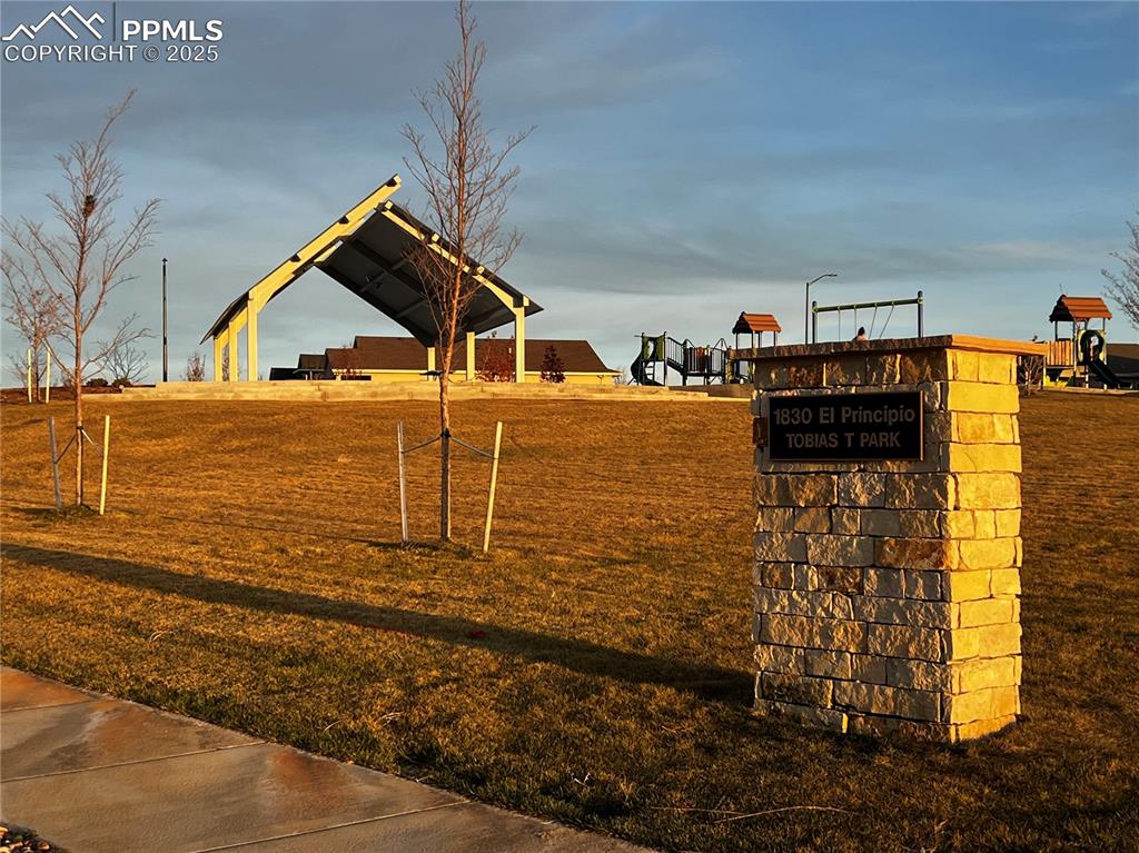 Image 46 of 46: Community