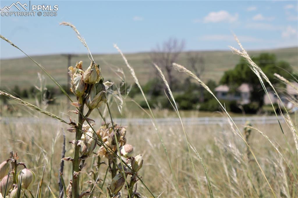 Image 4 of 9: View of exterior details