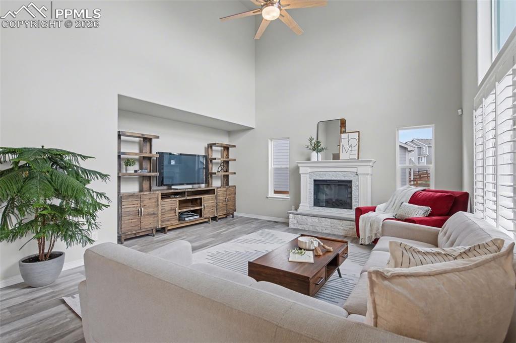 Image 11 of 46: No Description Available