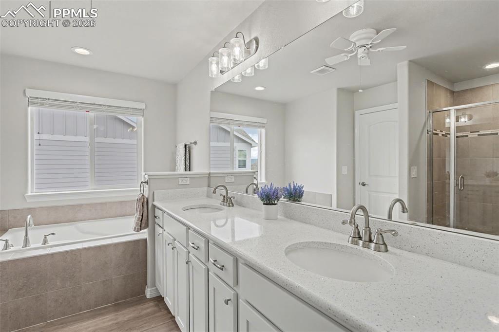 Image 24 of 46: No Description Available