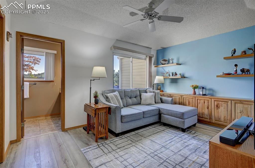 Image 16 of 43: Main level Bedroom w/ Built in Cabinets(Currently used as a TV Room)