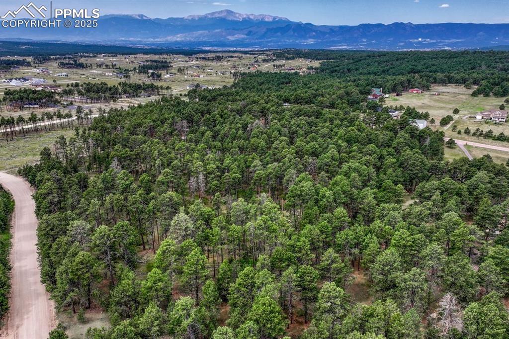 Image 10 of 37: Aerial View