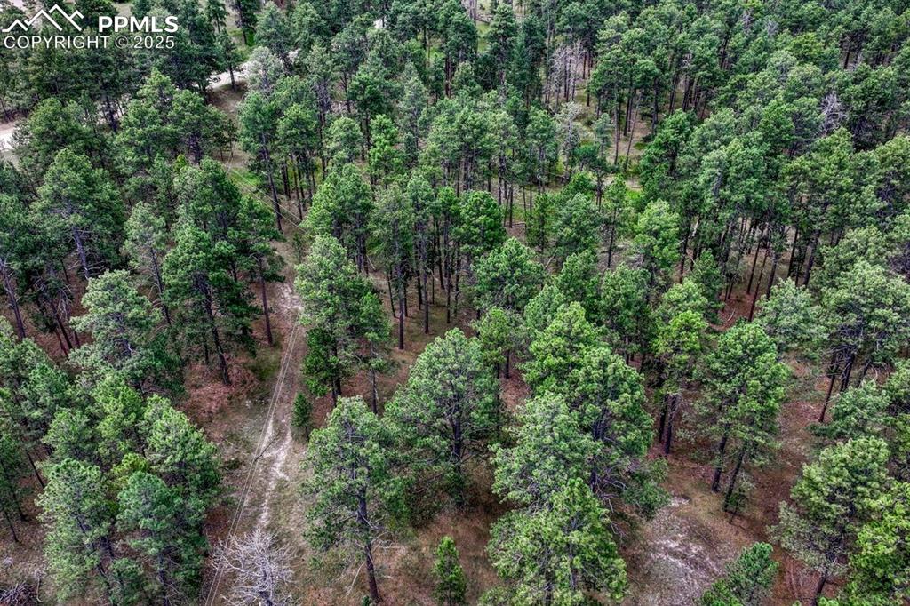 Image 12 of 37: Aerial View