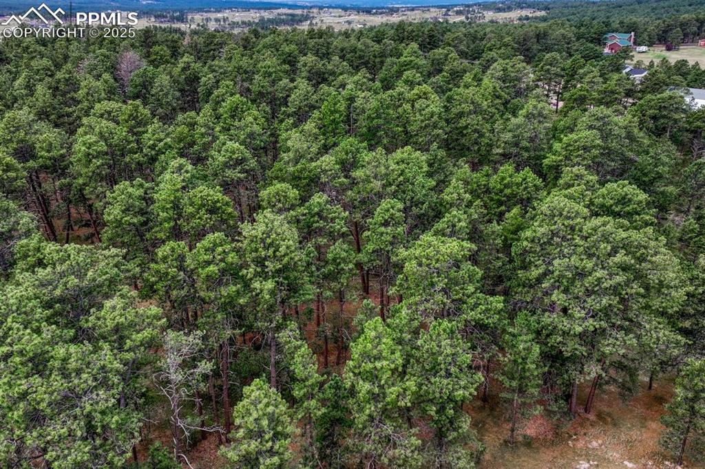 Image 13 of 37: Aerial View