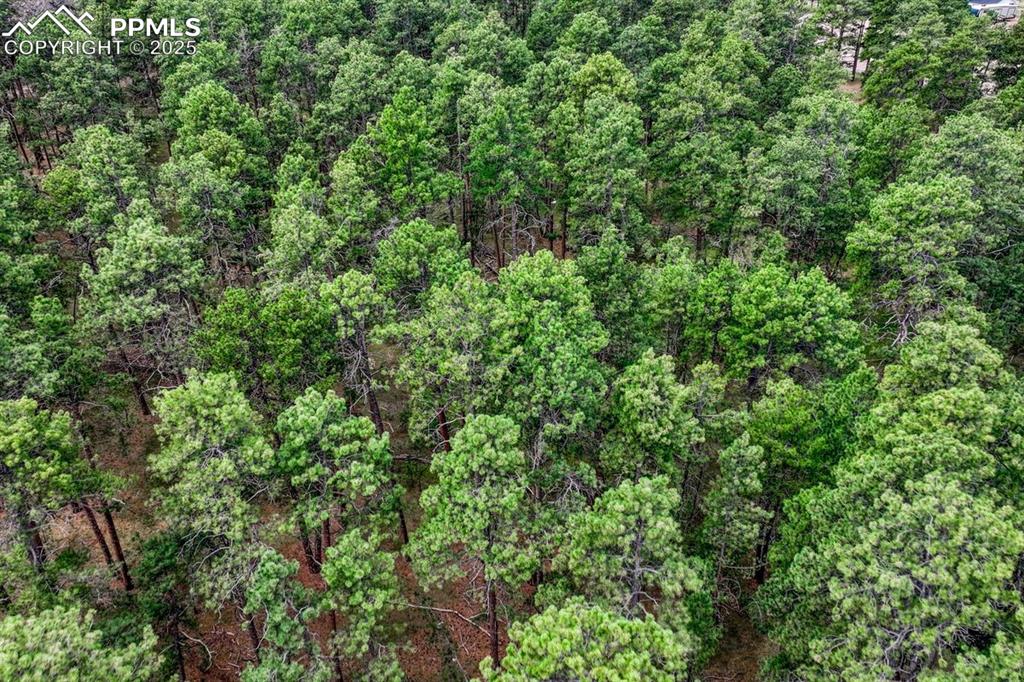 Image 14 of 37: Other