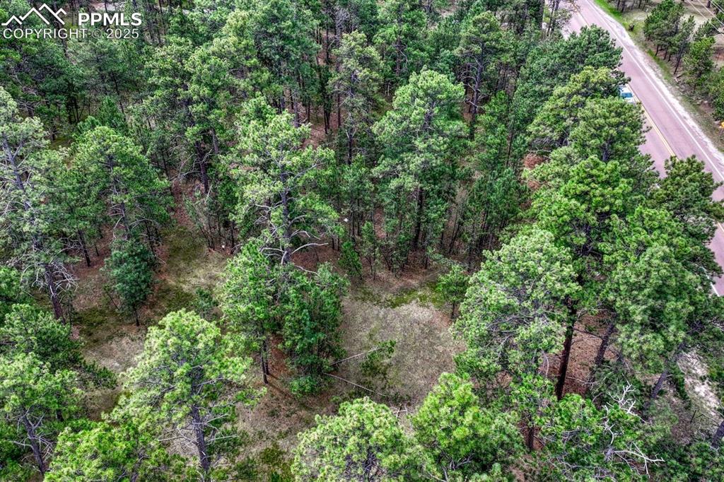 Image 15 of 37: Aerial View