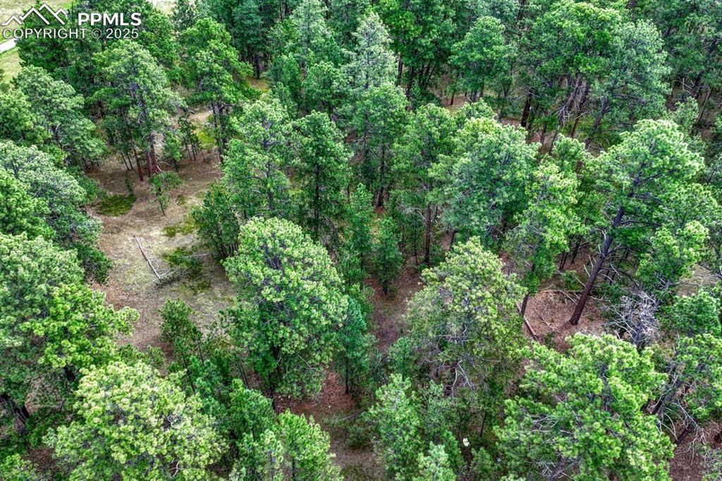 Image 16 of 37: Aerial View