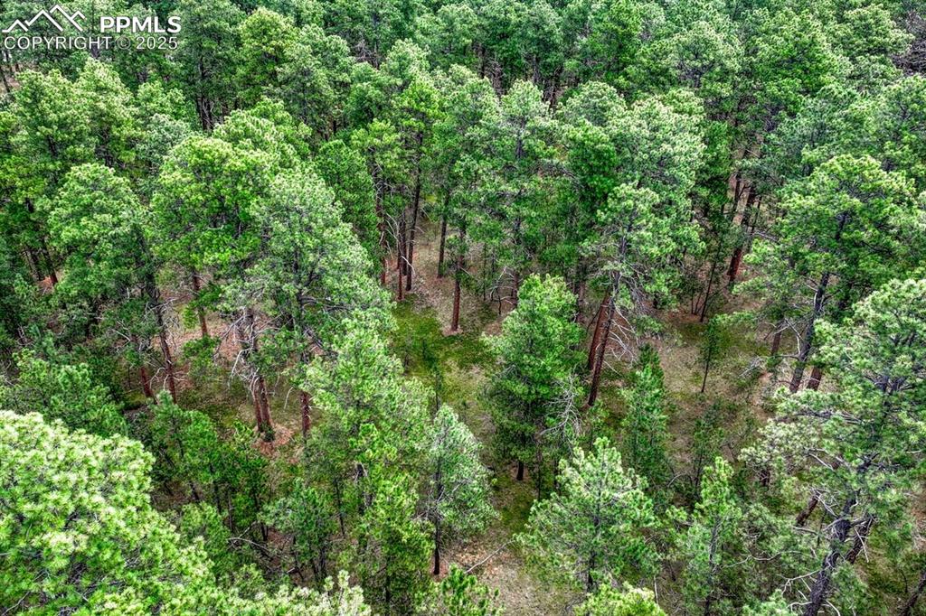 Image 17 of 37: Other