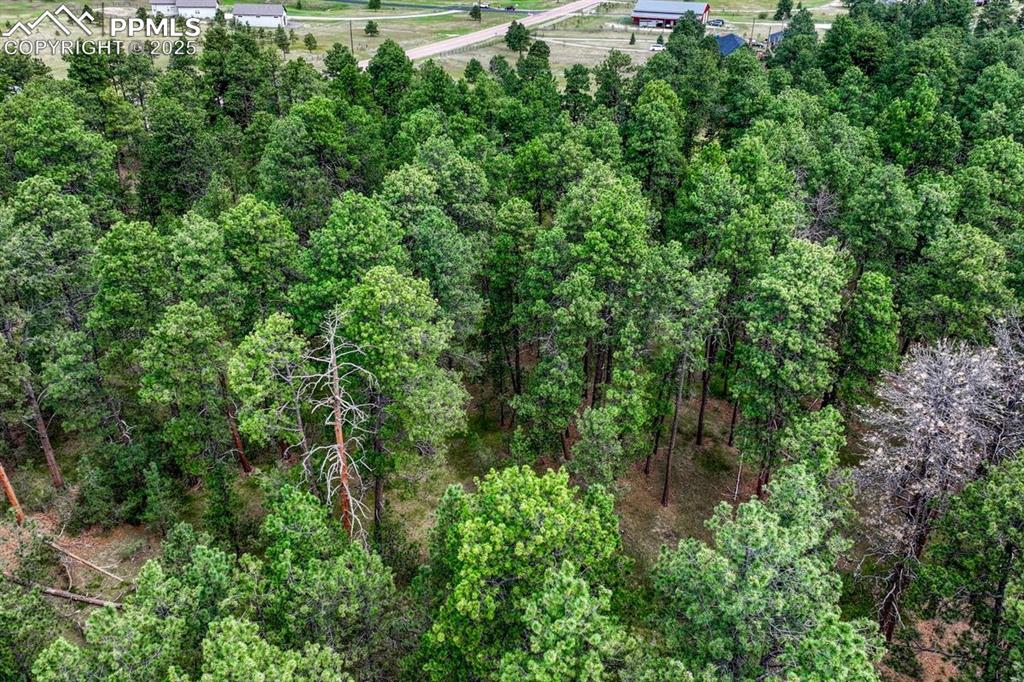 Image 18 of 37: Aerial View