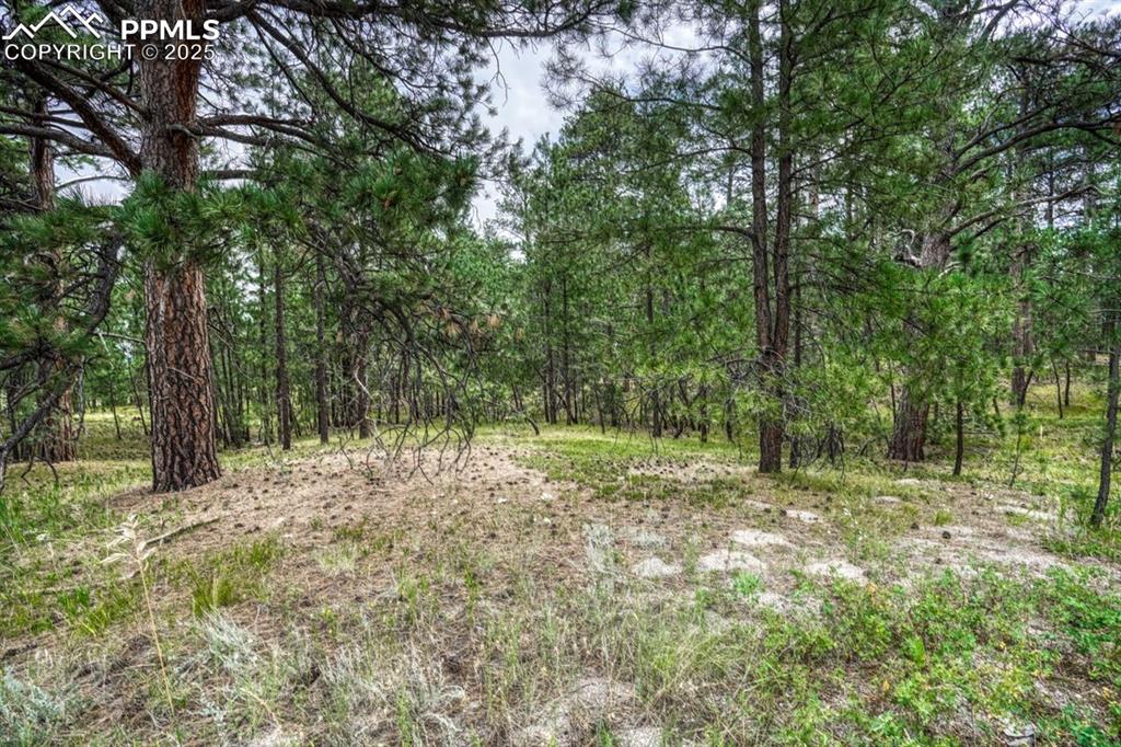 Image 19 of 37: Other