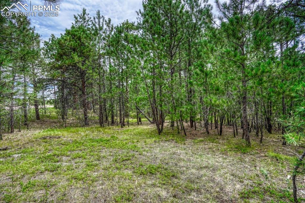 Image 20 of 37: Other