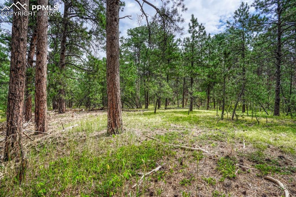 Image 21 of 37: Other