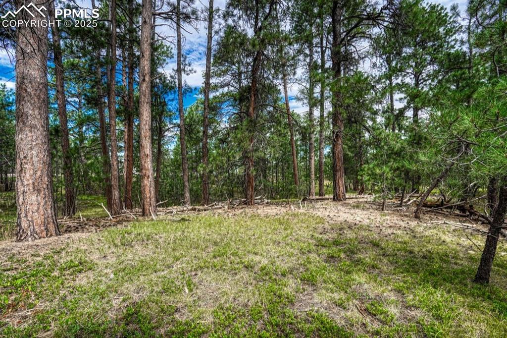 Image 22 of 37: Yard