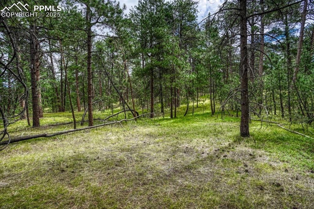 Image 23 of 37: Yard