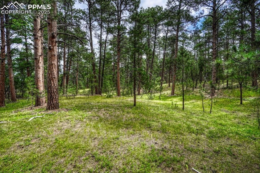 Image 24 of 37: Yard